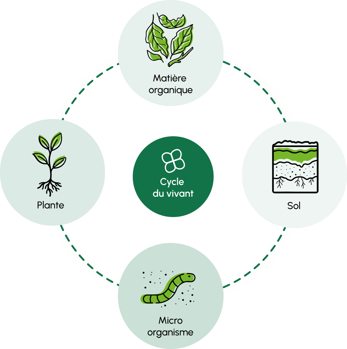 Le cycle du vivant : matière organique, sol, micro-organisme, plante