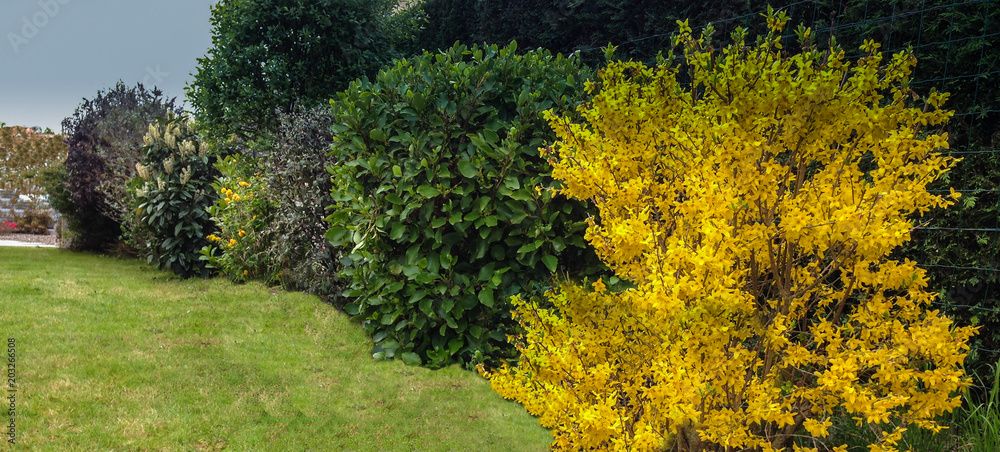 Chloro Terre — usage Arbres & haies